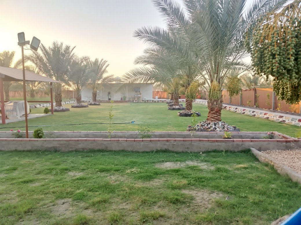 يوجد لدينا دونم للبيع طابو زراعي سند 25 المكان بابل شارع الامام بكر عليه السلام شارع الخدمي مال الكفل الاستفسار ***********
