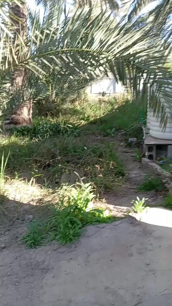 السلام عليكم دونم عقد للبيع بالطي بنزال شارع الحسينية صادق الامين للاستفسار الاتصال على الرقم ***********
