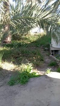 دونم عقد للبيع بالطي بنزال شارع الحسينية صادق الامين للاستفسار الاتصال...