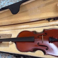 فيولا امريكية • فيولا • آلة وترية
