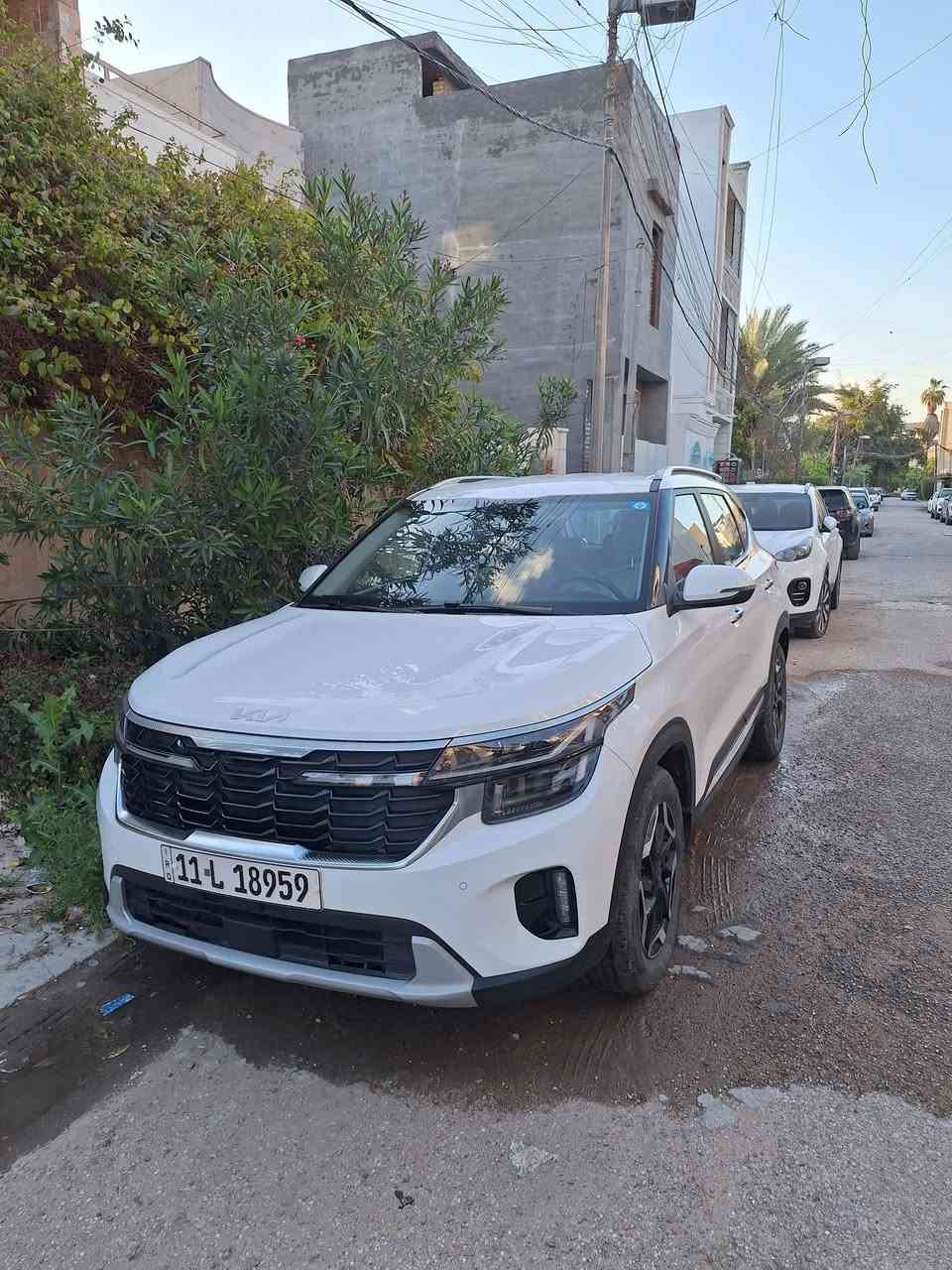 كيا سلتوس موديل 2024  قمارة حديد داخل ابيض ضمان الدولية السعر  26 مليون بي مجال لليقتنع بالسيارة مكفولة من كل شيئ


**إذا كنت صاحب هذا الإعلان وتريد حذفه لأي سبب، رجاءا أرسل رسالة إلى الدعم الفني**