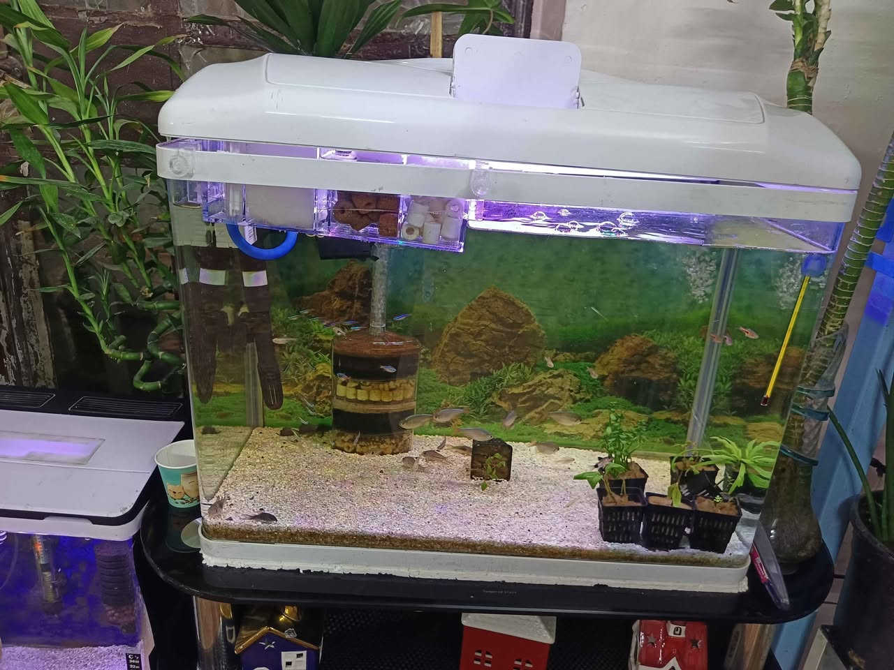 حوض للبيع موصل, نينوى


**إذا كنت صاحب هذا الإعلان وتريد حذفه لأي سبب، رجاءا أرسل رسالة إلى الدعم الفني**