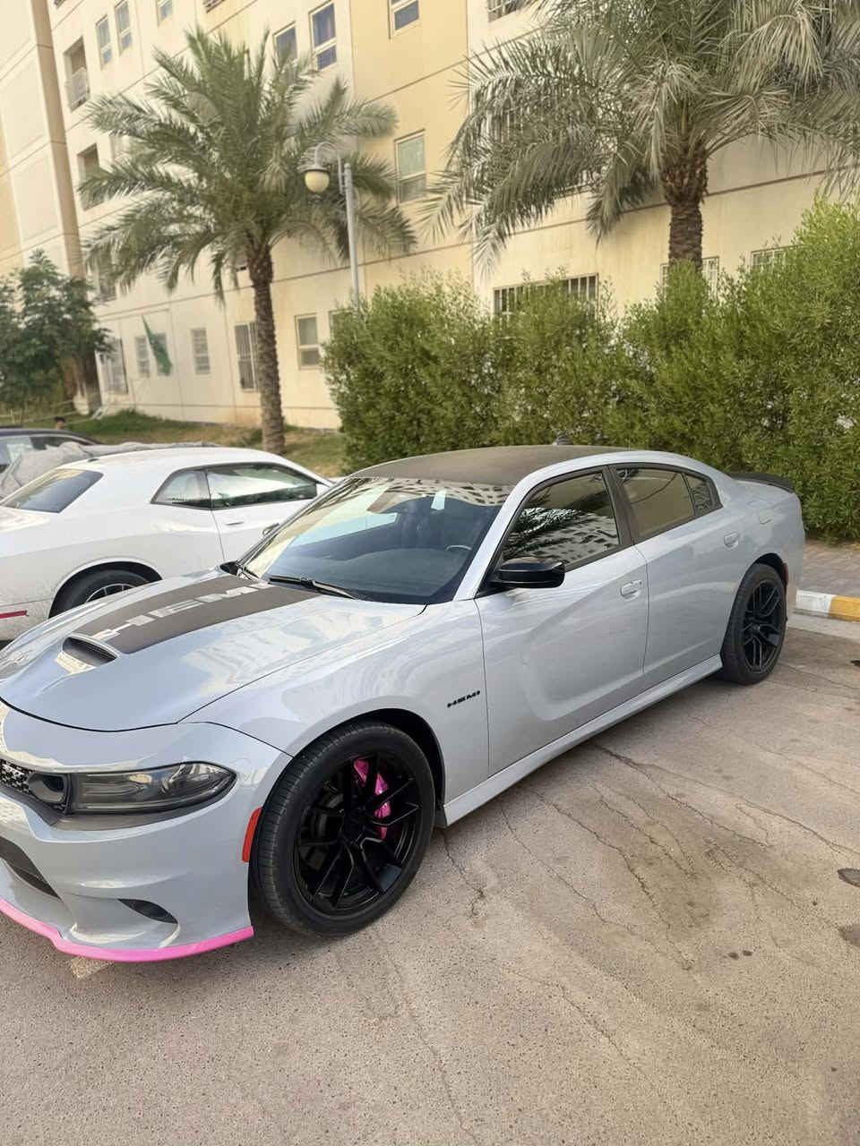 ‏Dodge Charger RT :للبيع -
2022 - بلاك توب سوبر تراك لون سموك مميز✅

استخدام شخصي، وكلشي ما مفتوح بيها وع الفحص *

• الممشى: 30 مايل فقط

• الصبغ: جاملغ وبنيد - بدون

• تحويل: رقم بغداد سنويه ب أسمي

تحويل ثاني يوم

+ المواصفات:

• دخول ذكي بصمات ابواب وصندوق

• ⁠كشن كهرباء

• ⁠تبريد قطعتين وبصمه وكامرا 

• ⁠شاشة 20 إنش الكبيره  كار بلي 📳

‏    •سستم صوت Alpine•

   ويل هلكات من امريكا😈

• تحكم ستيرنك جهتين

• تحديد مسار + كروز كونترول

• شفتات ستيرنك 🏎️🏁

• وضعيات قيادة: سوبر تراك + سبورت

• مراية وسطية عاكسة

• مرايات جانبية هيتر

• داخلية كنتارا أحمر + جلد

• حساسات خلفية

السيارة ستوك كير ومكينه وكلشي بيها على وضع

الشركه بدون اي برمجة او

استعراض او تعديل او اضافات

•بياع شراي لتخابرني جناي تشلع عيوني 
السعر اكتب رقم 1 يجيك خاص

للاستفسار 📞☎️ ***********
