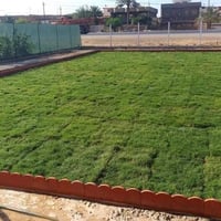 باسعار ثيل ديالى الطبيعي 🏡 أهلاً بكم في مجموعه مزارع ديالى لثيل الهندي...