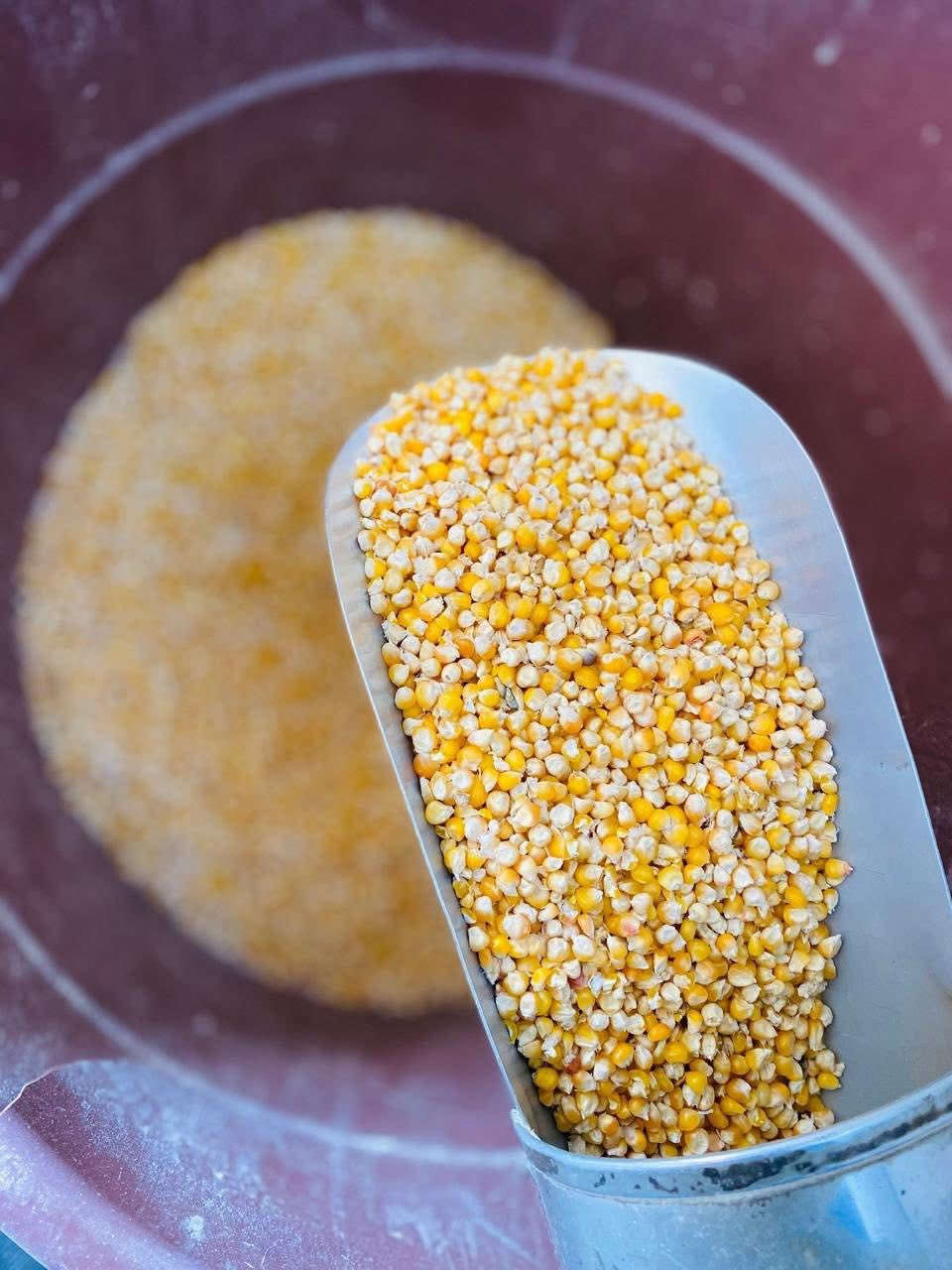 من القسم الزراعي - مكتب الريف الزراعي الفني
يعلن المكتب عن وصول وجبة جديدة من المحاصيل والبذور 

🧅 البصل (بأنواعه) فسقة 
• بصل بعشيقة: 1,000 دينار / للكيلو.
• بصل أحمر حار: 1,000 دينار / للكيلو.

🌽 البذور والحبوب
• بذور ذرة عربية: 1,000 دينار / للكيلو.
• شعير صيفي (شركة الجوهرة): 6,000 دينار / للكيلو (نخب أول/بشرط الفحص).

🌱 الجت 
• جت عراقي: 10,000 دينار / للكيلو.
• جت مصري (بزارة عراقية): 12,000 دينار / للكيلو.

📍 الموقع والعنوان
محافظة صلاح الدين – قضاء العلم – بالقرب من سيطرة 14.


**إذا كنت صاحب هذا الإعلان وتريد حذفه لأي سبب، رجاءا أرسل رسالة إلى الدعم الفني**