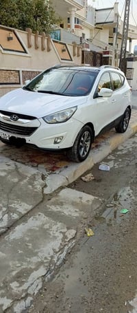 توسان خليجي • ٢٠١١ • بدون صبغ