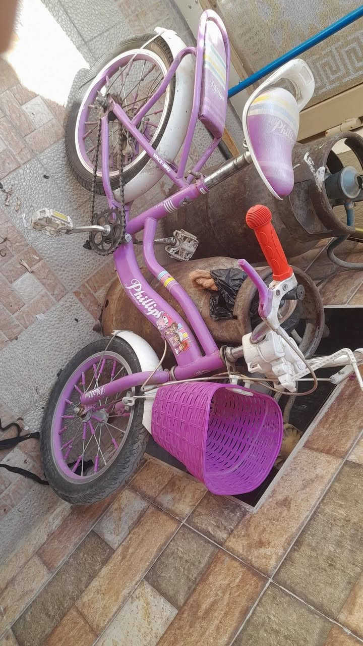للبيع لو مراوس بواحد وسطاني بناتي


**إذا كنت صاحب هذا الإعلان وتريد حذفه لأي سبب، رجاءا أرسل رسالة إلى الدعم الفني**