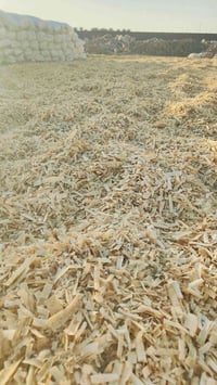 مكلف بالنشر يوجد نشارة رقم واحد للبيع للستفسار اتصل.  07703039026