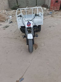 ستوته • موديل 13 • سوق گرمة بني سعيد