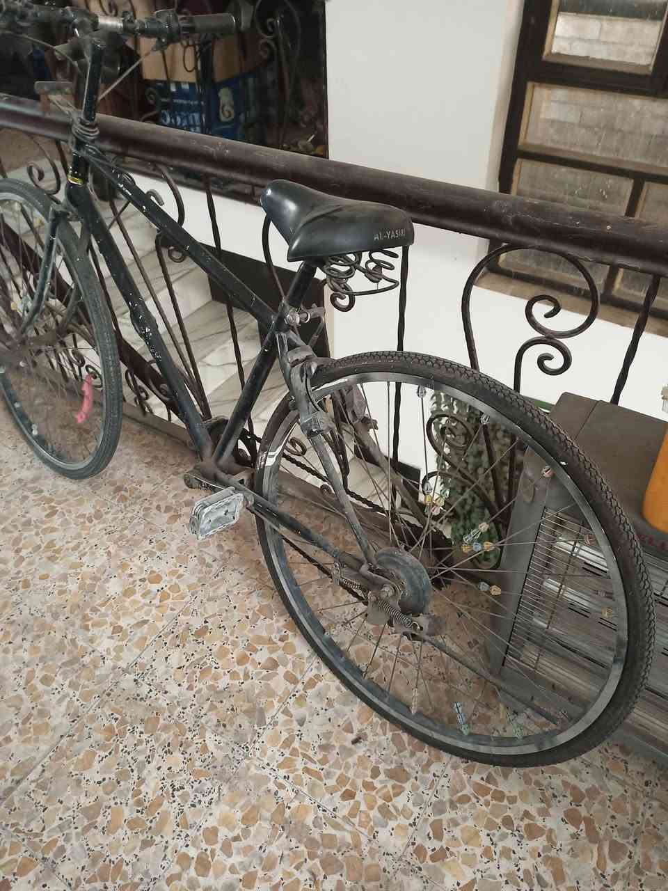 بسم الله الرحمن. الرحيم.  غراض. للبيع. بايسكل. حجم. 27.  شغال.  سعره.  20.   صوبه. علاء. الدين. سعره. 20.    حاويات. صنوك سياره. اثنين.  قيم. واخذهن. صوبه. 20    اتصال.  ***********
