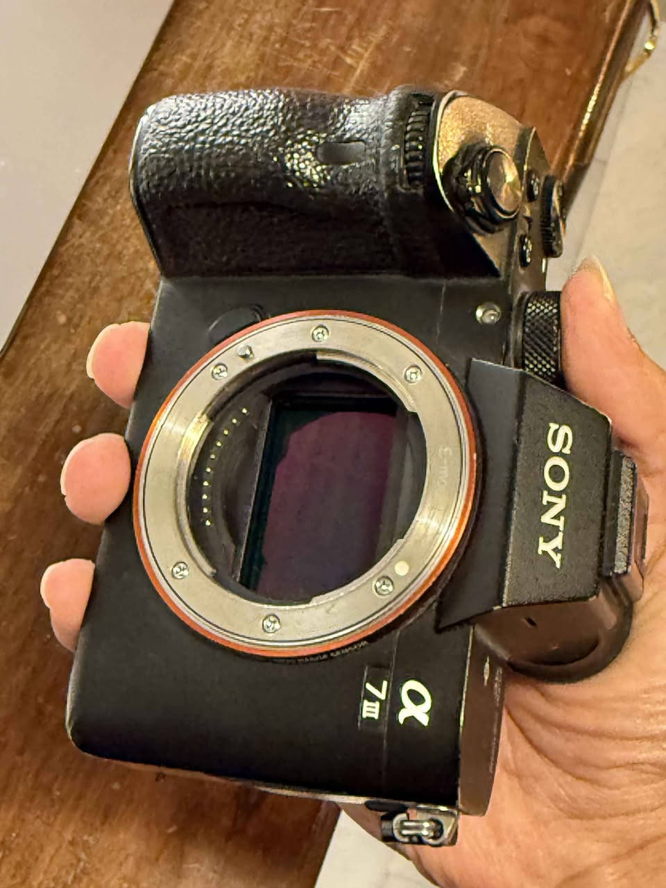 متوفر a7iii
شتر 20k للبيع
نظيفة مليون و 200 بغداد, العراق


**إذا كنت صاحب هذا الإعلان وتريد حذفه لأي سبب، رجاءا أرسل رسالة إلى الدعم الفني**