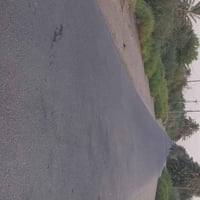 أهل الشط • ٥ دونم • بستان نخل