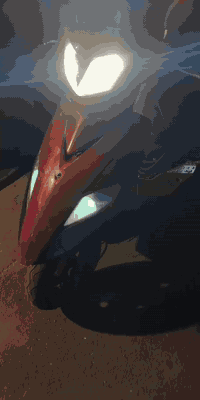 السلام عليكم ماكس ثعلب ماروني للبيع دراجه ناعمه تخبل جبته قبل 6 اشهر رمبه تشغل وتطلع سلف نكره وهندر شديتلهه جديد  لايتات زنون اشاير مري دبلات كله شغال مشيههه سريع وحلو دراجه رزنه تاخذههه ربع متذب عليها شغل واطلع رايدها 450 بيهه مجال حك الجيه مكاني حي العامل للاستفسار ***********
