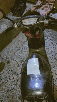 عصفورية 60  البيع المكان بغداد الحميدية07746682192 فول نضافة  سعرة 250
