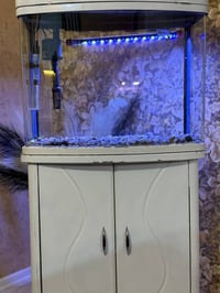 شيشة • ليد • هيتر ١٠٠ واط