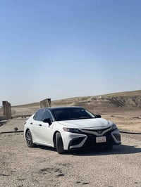 ٢٠٢٤ • دفع رباعي • قطعة ونص صبغ