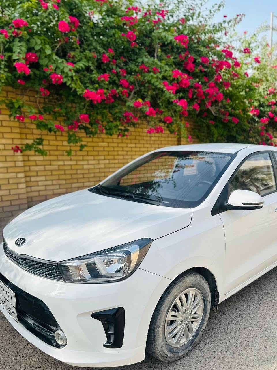 كية بيگاس
2021
اربيل
1600 محرك
خليجي
سياره جاهزه ما بيه كل نقص مكان البصره ابو الخصيب 
للاستفسار ***********
