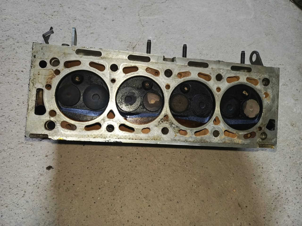 كور سمند للبيع مكصوص مره وحده عدل مابي اي عواج بس الشيال مكسور السعر 40 بيه مجال *********** مكاني بغداد ناحيه الوحده قرب مجمع بسمايه
