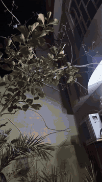 جي تي ار كفاله عامه ملغمه تزويد من ليابان طياره ارضيه بلاد كلجات جيسو كزوز رياضي وشوفو تزود شرط يابان ماكو تجاري سعر مليون ميه, 1100 مكاني بصره ابي لخصيب وتساب ***********
