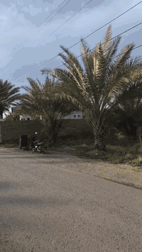 دونم للبيع منطقه الدوره عرب جبور قورب لوفت الاحمدين تحويل سند على طابو...