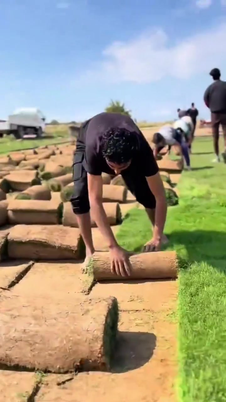 متوفر ثيل هندي درجة اولى توصيل مجاني لجميع المحافضات 
سعر المتر بألف ونص........
للحجز والاستفسار ***********
