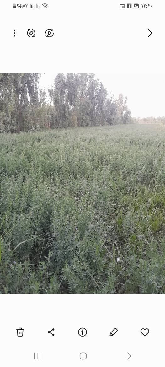 السلام عليكم ورحمة الله وبركاته اكثر من نص دونم حشيش جت
***********
طريق الفردوس

