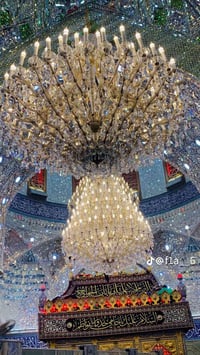 اخوان منو يطلع لكربله الليله باجر من وكت يراسلني او يتصل 07829828296