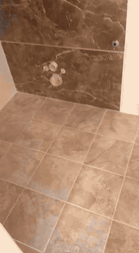 عمل السيراميك والواجهات اخوكم من الناصريه مركز *********** وتساب
