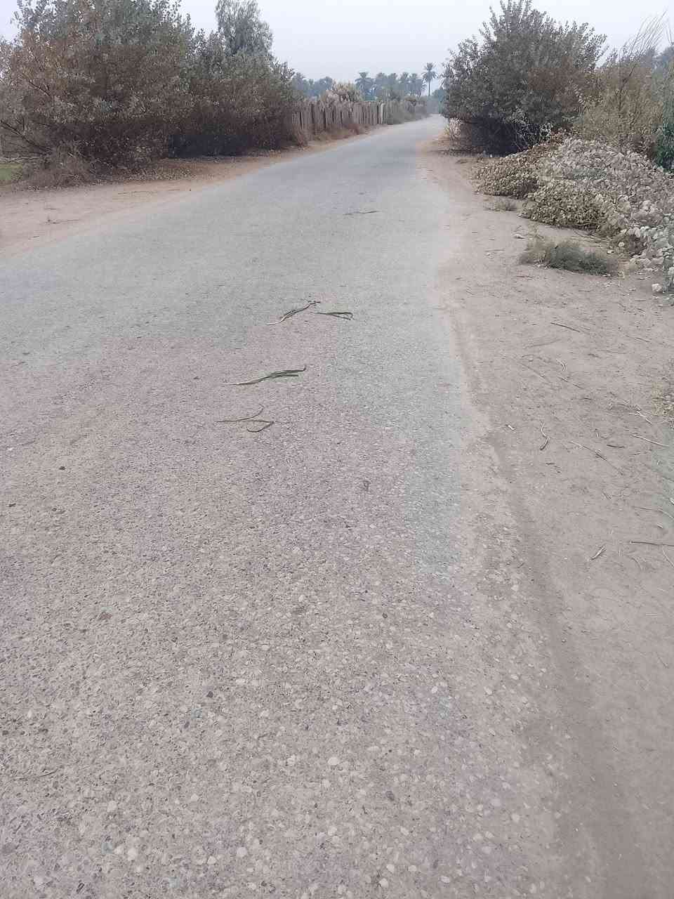 أرض زراعية للبيع مساحه 10دونم طابو زراعي تبعد 4كيلو عن الشارع العام حله ديوانيه منطقه الجذع تتوفر فيها جميع الخدمات للاتصال أو الاستفسار ***********
