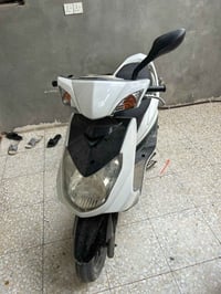 دراجه  البيع سكنس  فحل لون ابيض مكفوله كفاله عامه صار اقل من شهرين منز...