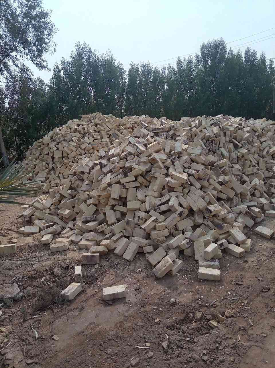 يالله السلام عليكم
يتوفر طابوك الطابو درجه اولى شرط على مكلاب

و فحص قبل التفريغ والحمل 8 تالاف

وزياده بل العداد

***********

***********
