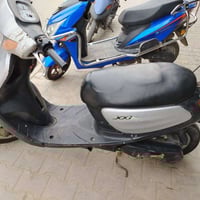 منغولي • شاصي ما ملحوم • مكاني الرميثه