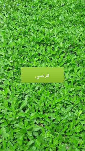 زبائننا الكرام اسعار تنافسيه سارع عله الحجز ابو الكميات سارع عله الحجز
متوفر كافة انواع الثيل الطبيعي 
الثيل الامريكي🌿الثيل الهندي🌿الثيل الايطالي 🌿الثيل الفرنسي
مع كادر مختص يجيك لباب بيتك
بسعر مناسب وكفاءة عالية
نجهز كل انواع الحدائق
والملاعب والمتنزهات 💚
الاسعار تختلف بختلاف النوع
ثيلنة الافضل 
وتوصيلنة الاسرع 🚙🚚
للطلب او الاستفسار التواصل مع الصفحة او الاتصال على الرقم التالي
***********     واتساب
***********
