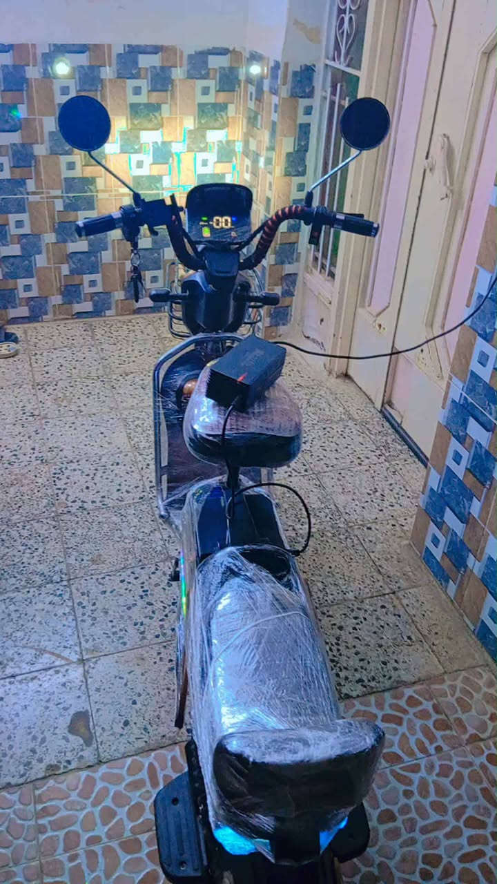 باسكيل شحن سعر ٢٢٥


**إذا كنت صاحب هذا الإعلان وتريد حذفه لأي سبب، رجاءا أرسل رسالة إلى الدعم الفني**