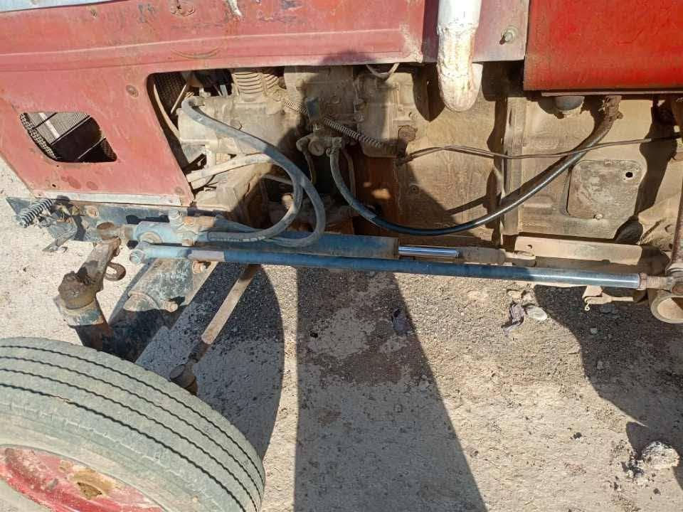 عنتر للبيع  الستفسار التواصل عل رقم  ***********رجاهن الي مو شراي لا يتصل قير متواجد عل فيس بوك ما ارد عل رسايل خابرو عل رقم
