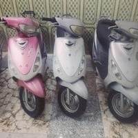 ماكس منغولي • ٥٠ • جاهز
