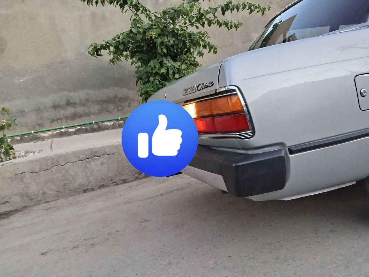 السلام عليكم ورحمه الله وبركاته اخوان كورونا للبيع موديل 81  سياره كلها عالشركه   ماكينه ا ستاندر  تبريد تدفئه
***********
***********
***********
