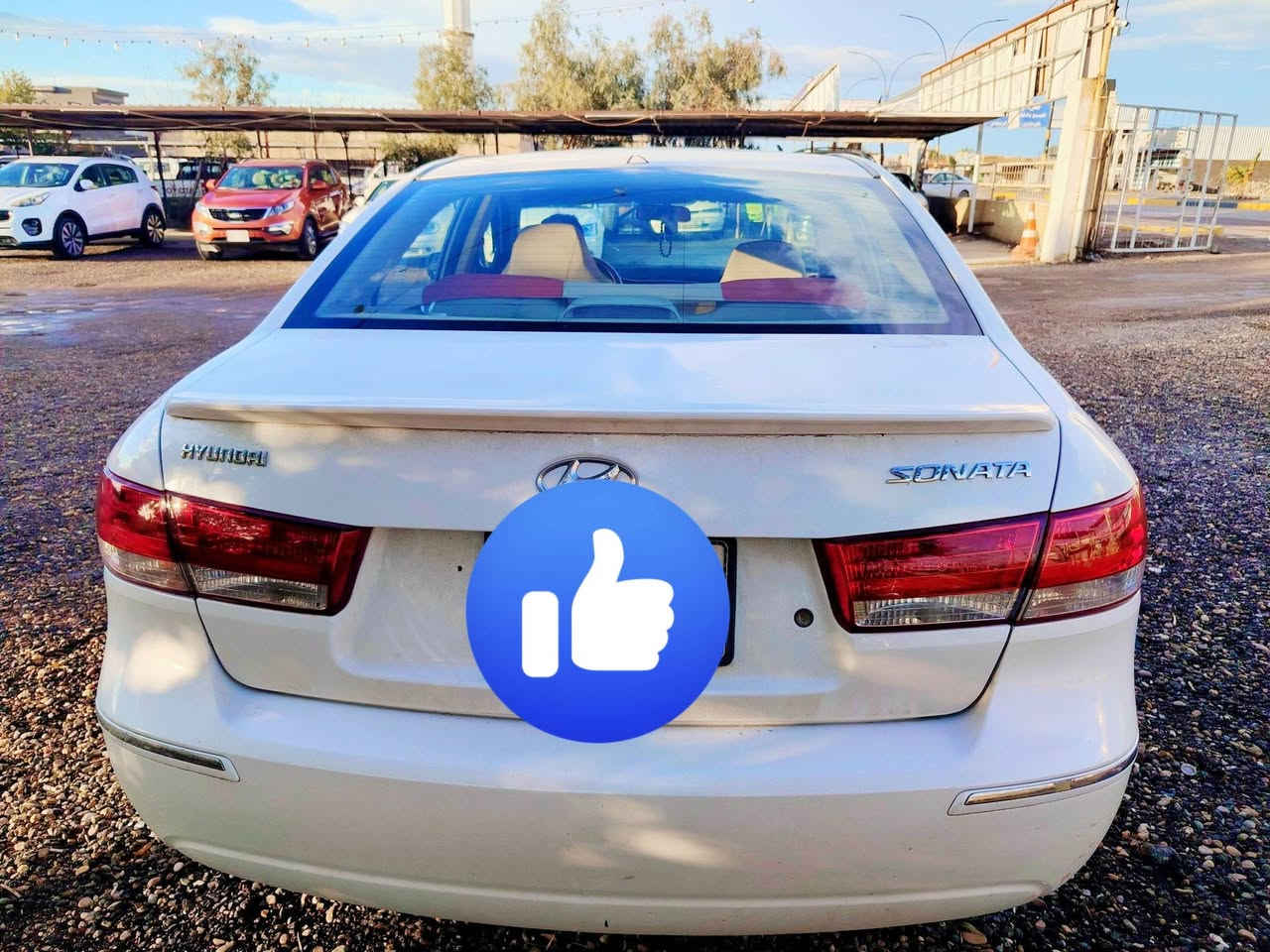 السلام عليكم
سوناتا للبيع 2011خليجي
فتحه تحكمات استيرن اشاير بل مراي
كير محرك مكفول 2400 محرك بلادي
رقم بغداد جديد سياره باسمي
داخل صاج سياره خير من الله عل يد واحد سياره
بيه صفحه صبغ بدون لا معجون ولا ضربه اثر شخوط والبنيد مصبوغ اثر شخوط بدون لادواخل ولا اي شيء
السعر 120وبيه مجال اتصال عل رقم ***********
*********** واتساب موجود
