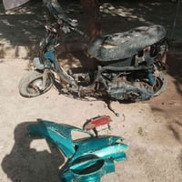 فراشة • شاصي نضيف • قضاء السنيه