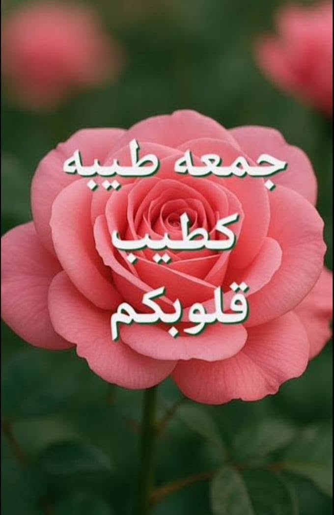 السلام عليكم........
سني ياباني موديل 2011 رقم دهوك جديد الشهر 6 حولتها باسمي تريد تحويل تريد وكاله... سياره جاهزة تخم تاير كير ومحرك صدر 80 بالميه  كهربائيات كل نقص مابيها تبريد جيد جدا محرك 1800 صيانه كامله فيت بم نوزلات بلكات بنزات...ضررها ضربة جامرلغ امامي الايسر بدون دواخل وشبر بالصندوق...... 
السعر 100 وبيها مجال بسيط او مراوس بسني تكسي 2009 او 2010
رقم الهاتف ***********  ...
