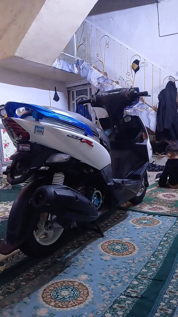 سلام عليكم
جيتي ار للبيع 
موديل 14 دراجة كفالة مكينة ما مفتوحة كهربائيات كاملة 
دراجة خير من الله عليهة منضومة زنون دشبول 3 الوان 
قبق فلاوين سمائي يدات بريك سمائي قبق بانزين سمائي 
مكاني بغداد سعر خاص او
***********
