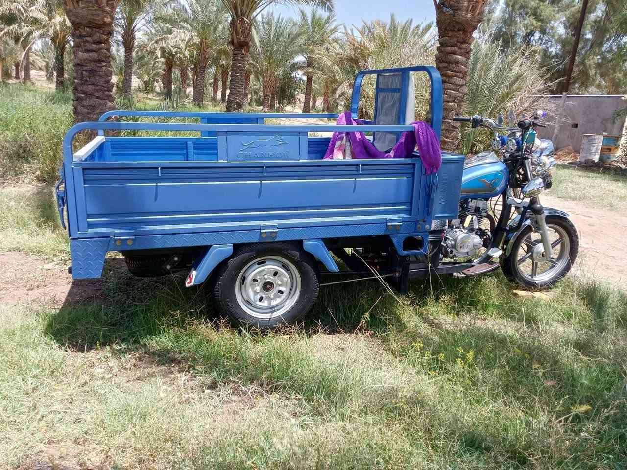 لبيع 14 كفاله من كلشي رقم وسنويه مداور شوكت ميعجبك بسمي رجاءا مو شراي ميعجبك سعر اطلع كبل ستوته كمله على اخر حبايه محرك 25 كله جديد سعر 2300بيه مجال تجي وتكلي موديل قديم سعرك هواي حبيبي كلشي اكو بسوك اهم شي نضافه ***********
