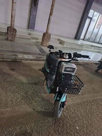 بايسكل شحن • يتحمل 200ك • كركوك راس دوميز