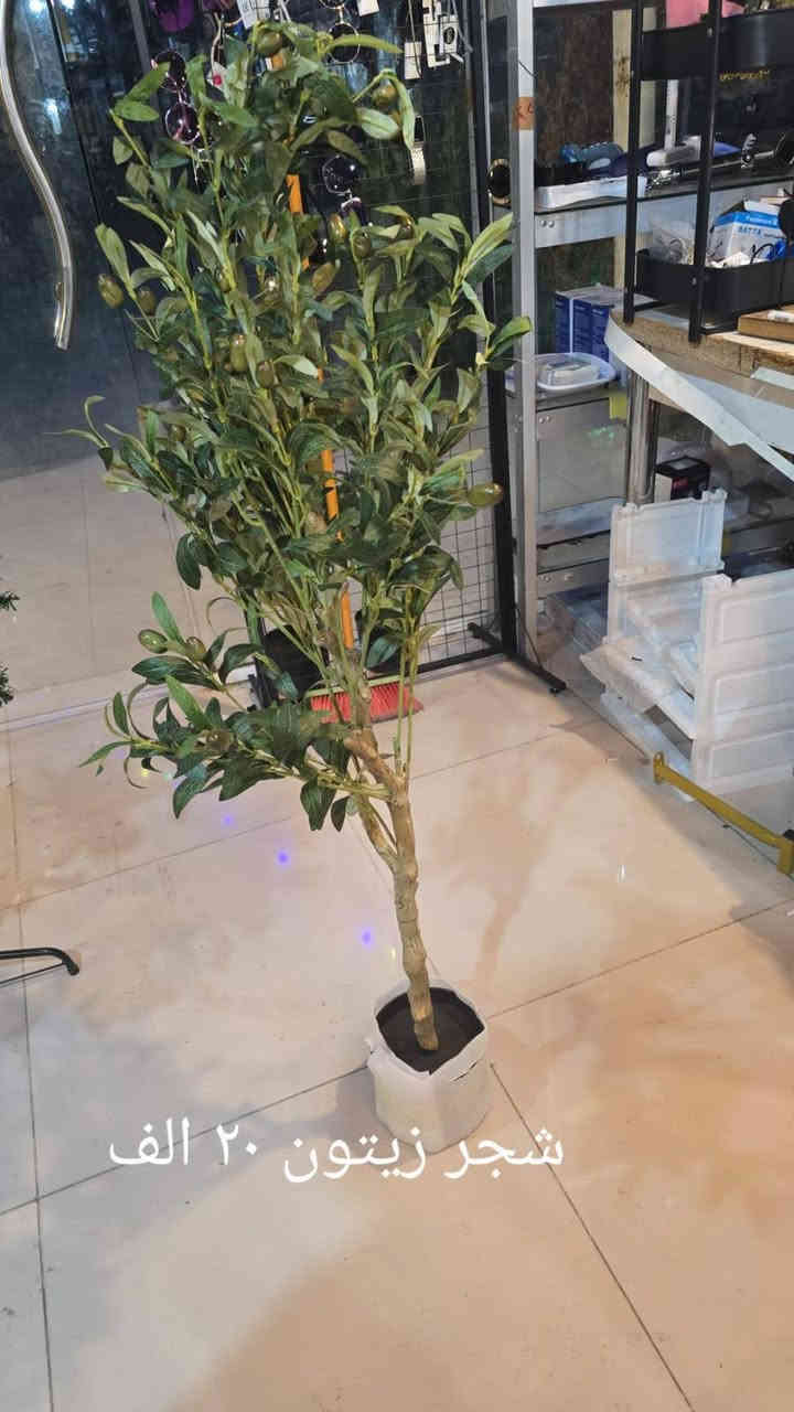 مكتوب اسعار
عدنا توصيل 
غراض امزؤن ما مستعملين 
عنوان كركوك رحيماوا،فرع اسماك دلشاد
***********
