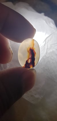 فاخر • قطعة مميزة • بيع جملة وفردي