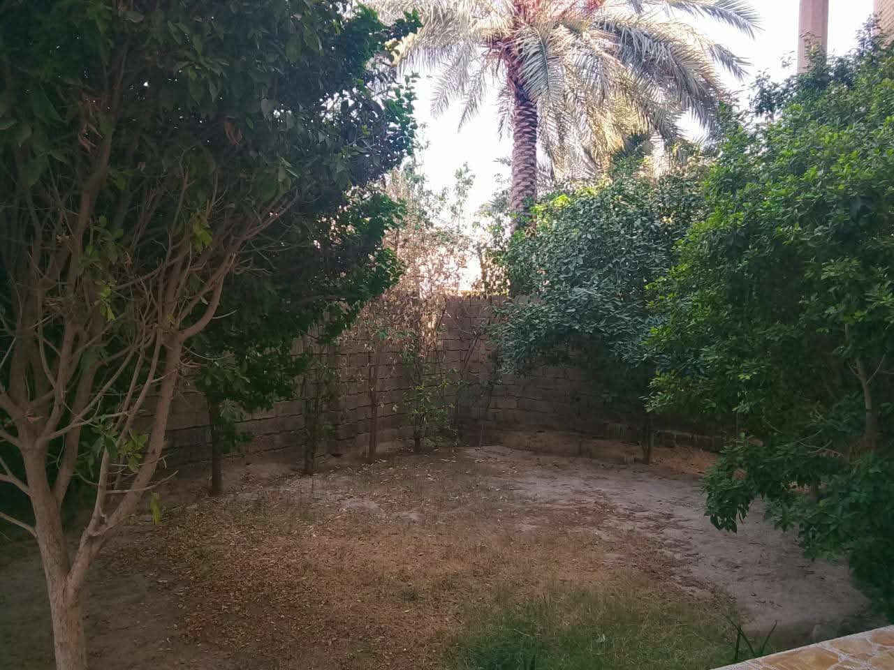 للبيـــع 
بيت للبيع  في حي الرساله قرب مدرسه الخليل مساحه 420م طابقين بناء قبل الأحداث الأخيرة ركن على شارع 12وشارع فرعي 8م يحتوي على 5غرف نوم واستقبال وصاله ومطبخ وحديقة كبيره وكراج سيارات الأرضية كاشي 
السعر 245مليون وبي مجال مسحوب على المصرف العقاري باقي تسديد 83مليون للمصرف 

‭0786 959 8192‬
