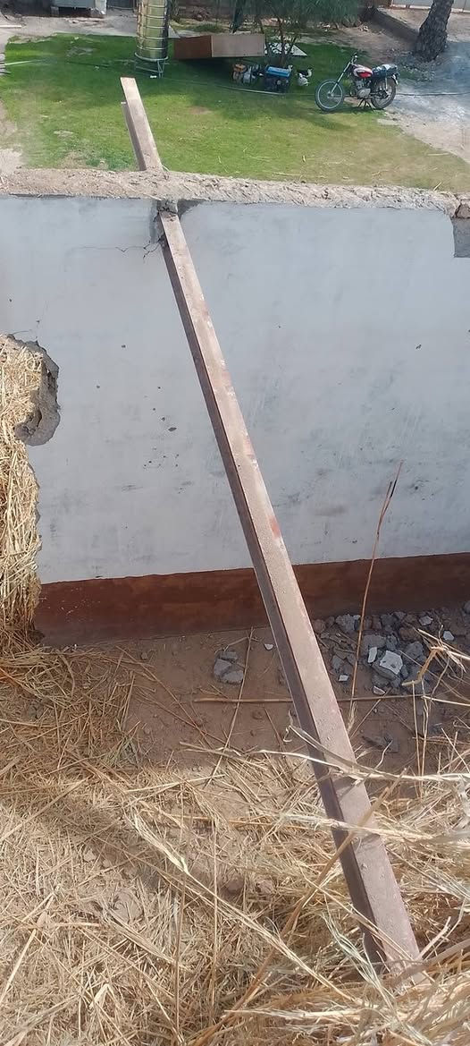 السلام عليكم
يوجد شخاطه للبيع عدد 13  وطول 6 متر ويوجد شلمانات ثنين للبيع 
الاستفسار ***********
