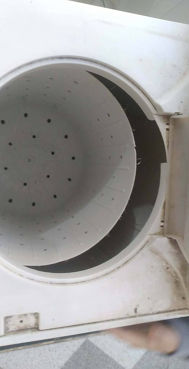 غسالة ملابس بس مجفت عطلان جديد مرسل صفحة


**إذا كنت صاحب هذا الإعلان وتريد حذفه لأي سبب، رجاءا أرسل رسالة إلى الدعم الفني**