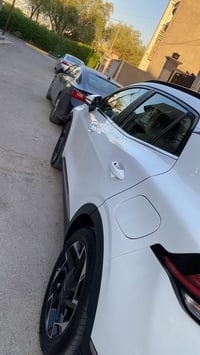 سبورتج • ٢٠٢٥ • فول بانوراما