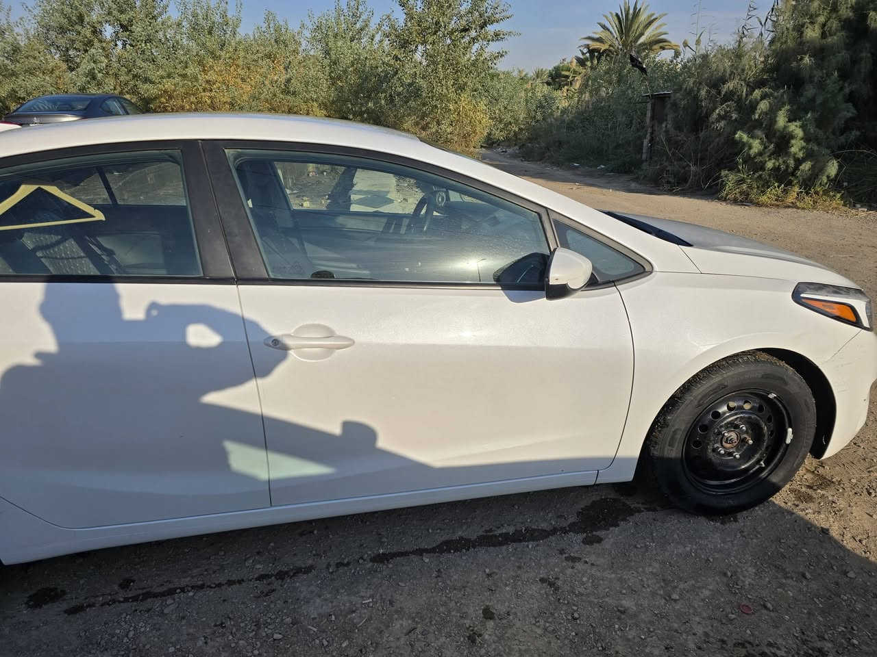 سلام وعليكم كيه فورتي امريكي بغداد مكفوله من صبغ  مكانها بابل الاثار ***********
